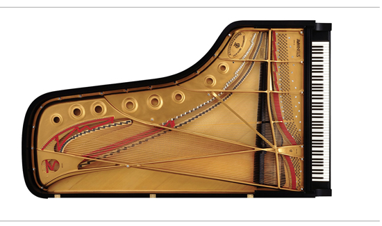 Steinway D-247